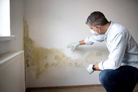 Best Biohazard Mold Removal  in USA